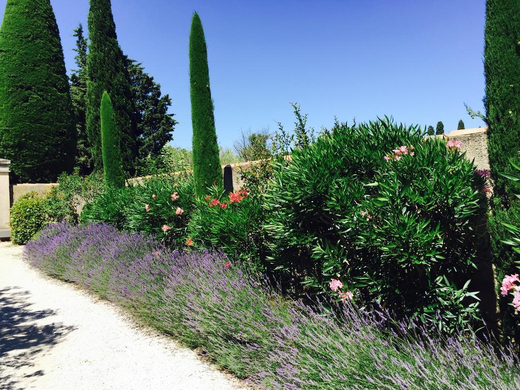 Le Mas Des Lauriers Bed & Breakfast Paradou Dış mekan fotoğraf
